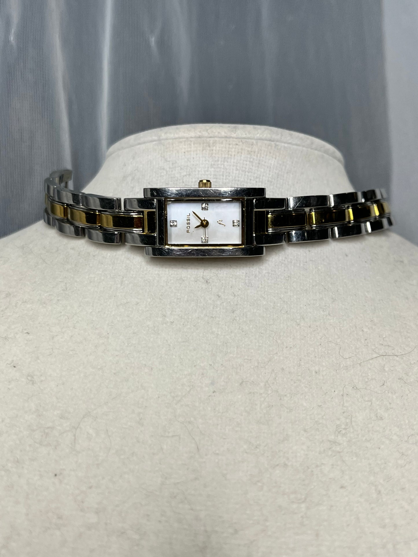 Fossil Watch Choker